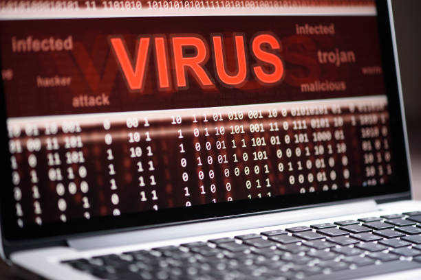 what is computer virus