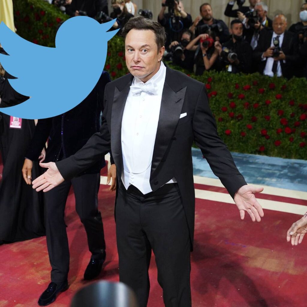 Twitter Latest Update:'Please come back', Musk pleads for 180 degree turnaround after half layoff